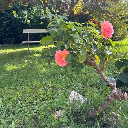 Casa Elli Serbelloni 12 *